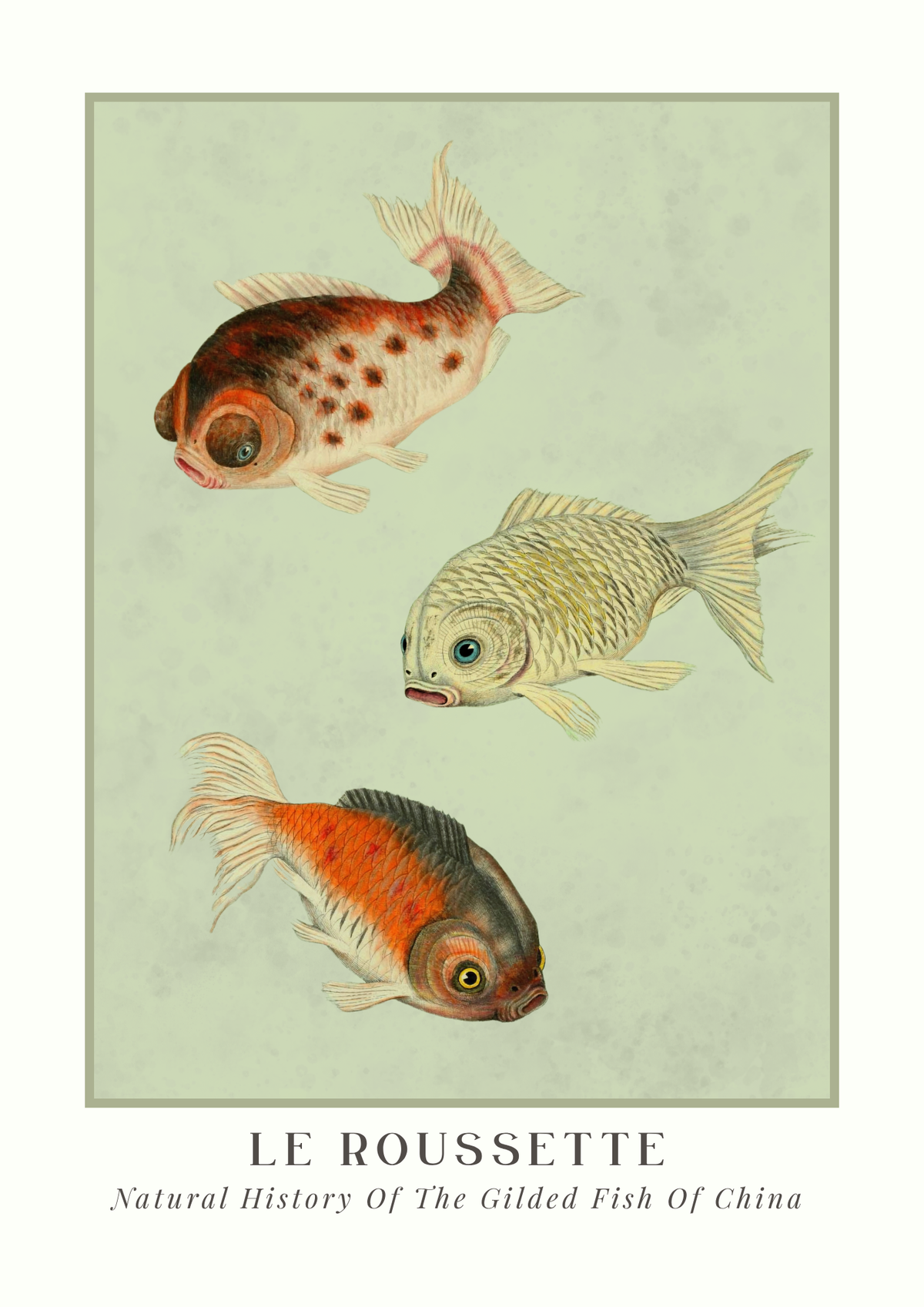 Vintage-style illustration of three gilded fish with 'Le Roussette' branding at the bottom.