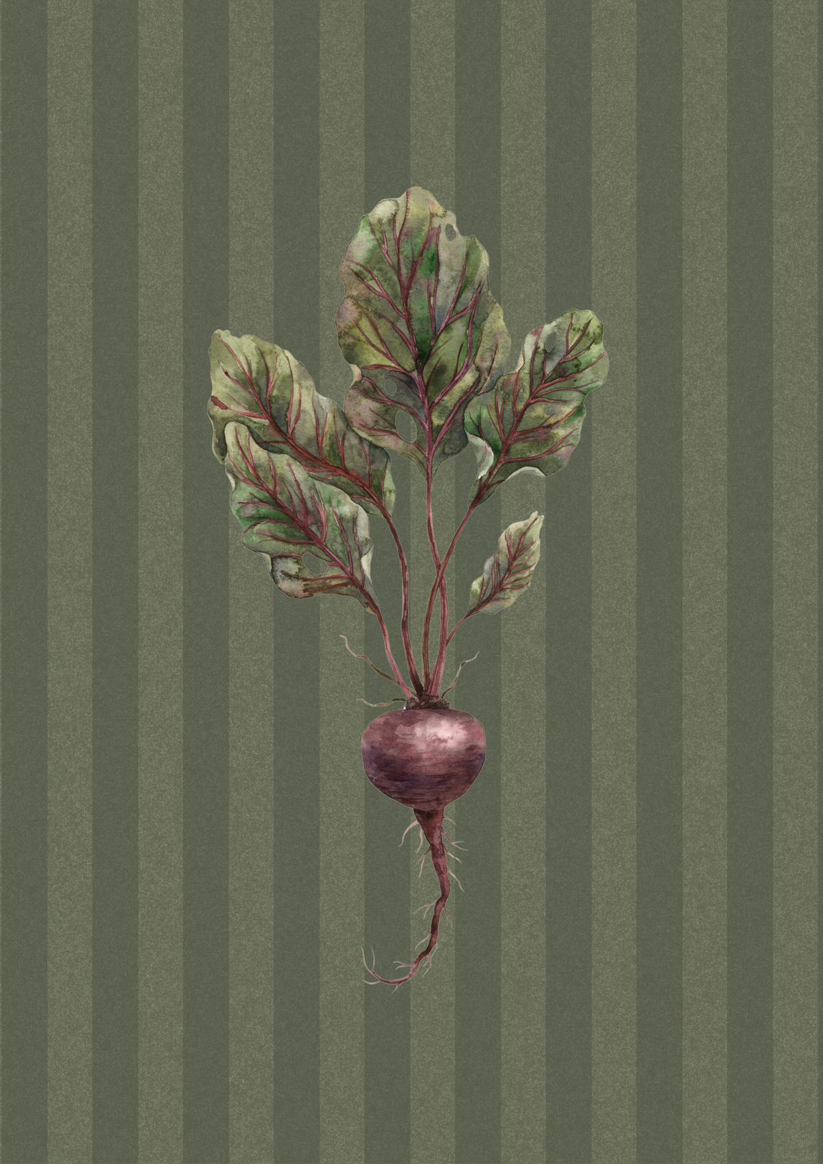 Illustration of a beetroot with leaves on a striped green background