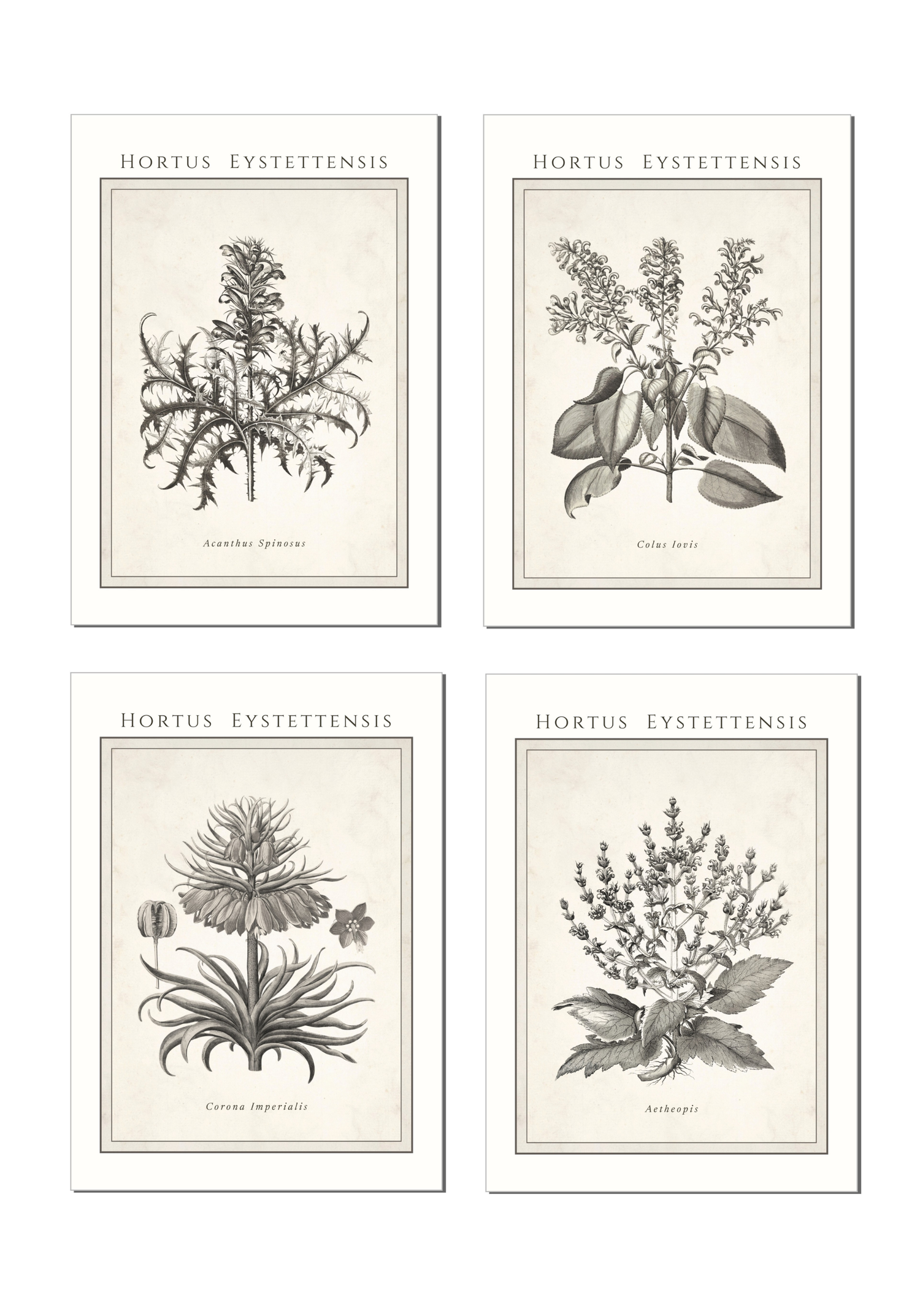 Fine Art Quartet