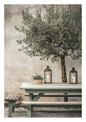 A rustic outdoor-style scene featuring a large olive tree with green foliage and small olives, set behind a pale green wooden picnic table with benches. Two black lanterns with lit candles sit on the table, along with a small potted plant, against a textured beige wall and gravel ground.