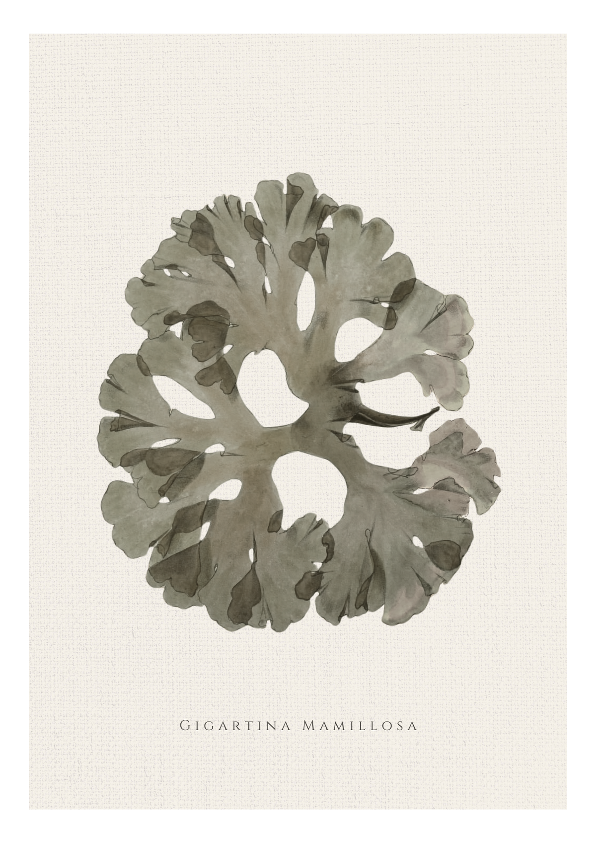 green grey sea sponge on a hessian background