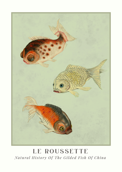 Vintage-style illustration of three gilded fish with 'Le Roussette' branding at the bottom.