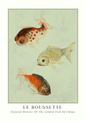 Vintage-style illustration of three gilded fish with 'Le Roussette' branding at the bottom.