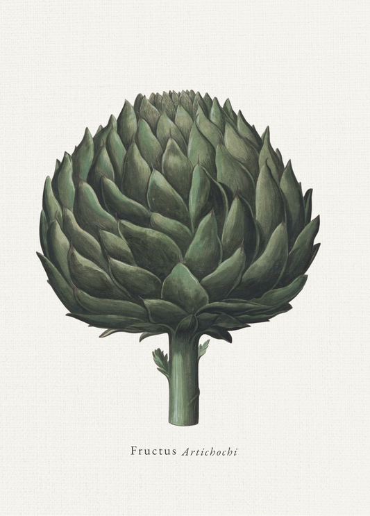 Greeting Card & Envelope