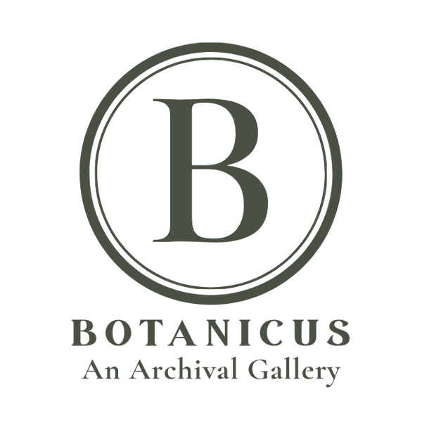 Botanicus