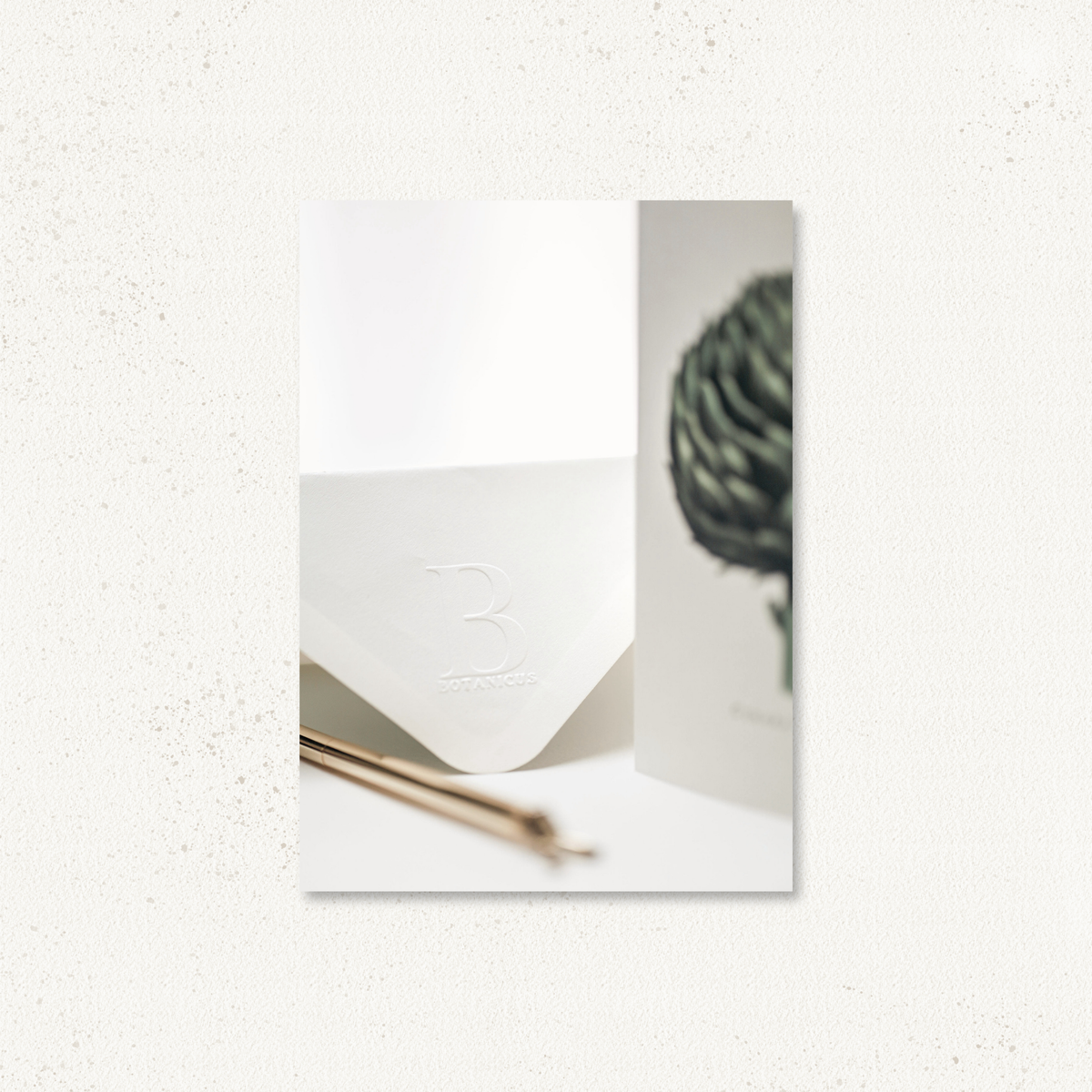 The Radish | Botanical Greeting Card