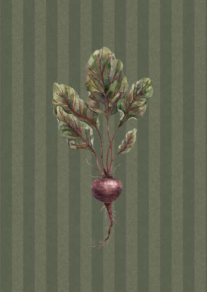Illustration of a beetroot with leaves on a striped green background