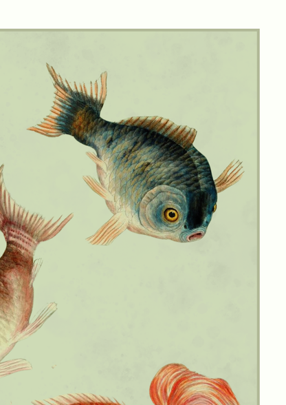 A close-up of a watercolor-style fish illustration on a pale green background, with part of another fish visible at the lower left and a coral-red fish tail at the bottom right.