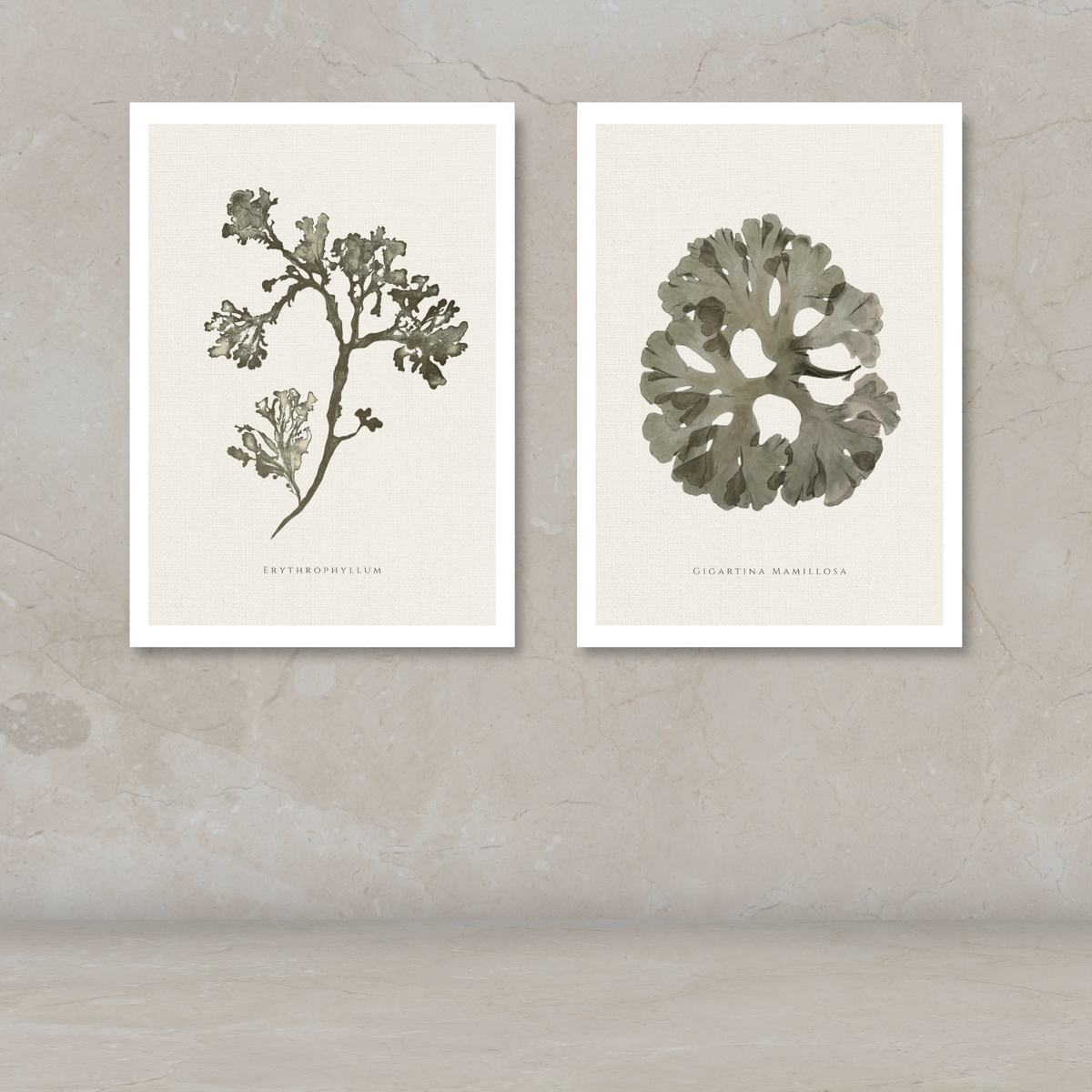 Two framed botanical art prints displayed side by side on a textured beige wall above a matching surface. The left print shows a dried plant branch with small clustered leaves, and the right print shows a large leafy frond.