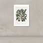 A botanical art print of a tomato plant with green leaves and brown fruits, mounted on a textured beige wall above a matching surface.
