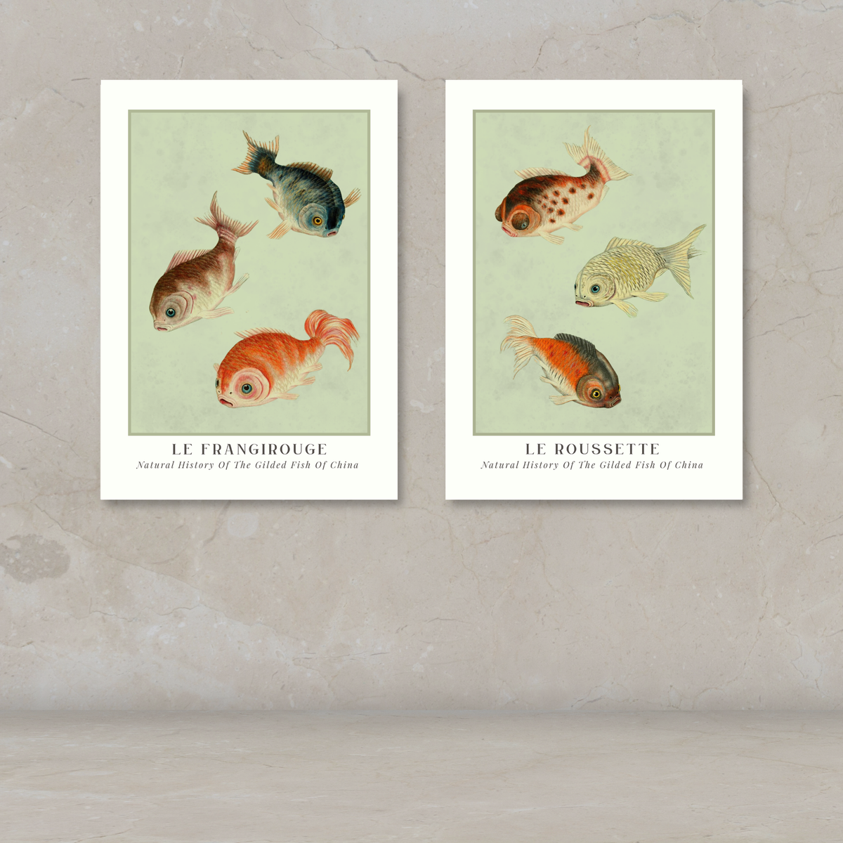 Two framed vintage-style fish art prints displayed side by side on a textured beige wall above a light surface. The prints feature illustrated goldfish with French labels: 'LE FRANGIROUGE' and 'LE BOUSSETTIE'.