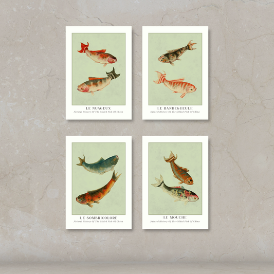 Four vintage-style fish art prints arranged in a 2x2 grid on a light beige stone-textured background. Each print features a different koi fish illustration with French labels and white borders.
