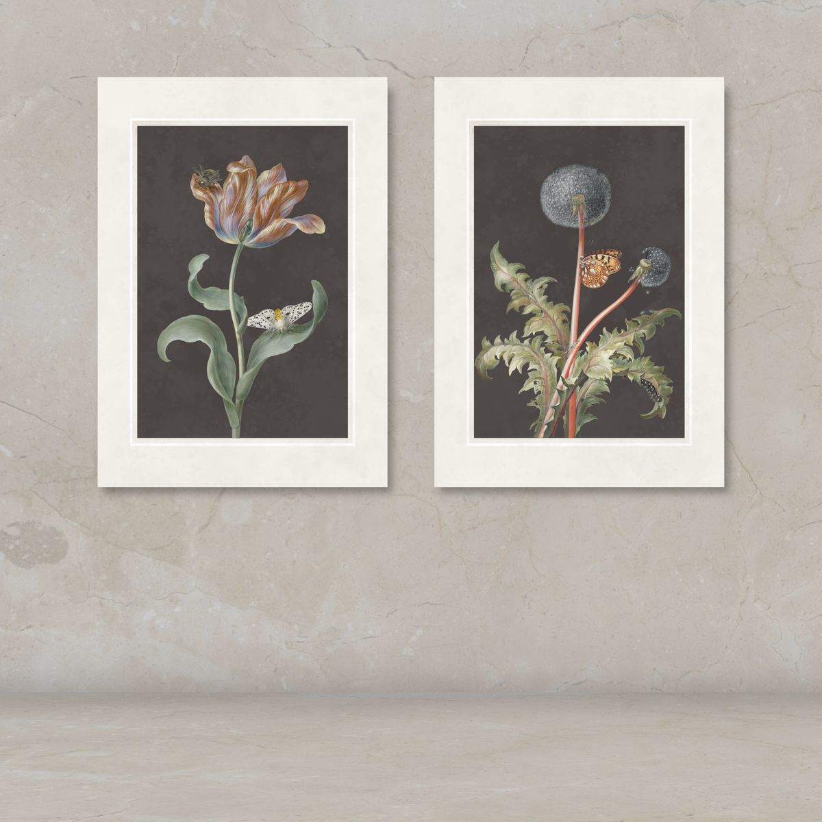 Two framed botanical art prints hanging side by side on a textured beige wall. The left print shows a tulip with green leaves and a butterfly on a dark background, and the right print shows a dandelion with green leaves and a small orange flower on a dark background.
