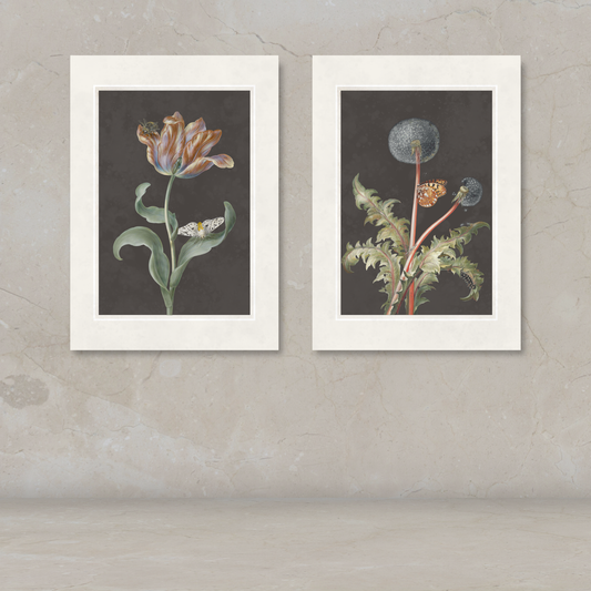 Two framed botanical art prints hanging side by side on a textured beige wall. The left print shows a tulip with green leaves and a butterfly on a dark background, and the right print shows a dandelion with green leaves and a small orange flower on a dark background.