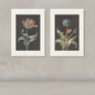 Two framed botanical art prints hanging side by side on a textured beige wall. The left print shows a tulip with green leaves and a butterfly on a dark background, and the right print shows a dandelion with green leaves and a small orange flower on a dark background.