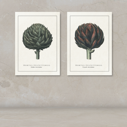 Two botanical art prints of artichokes hanging side-by-side on a textured beige plaster wall above a matching surface.